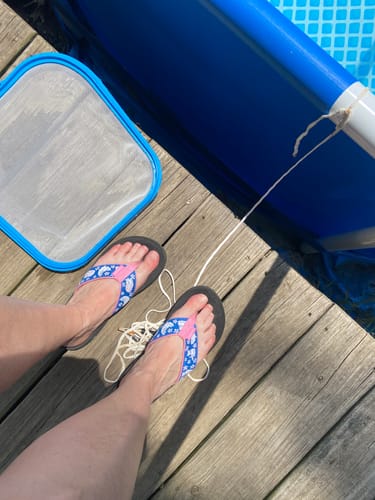 Customer photo review of Here Kitty Kitty