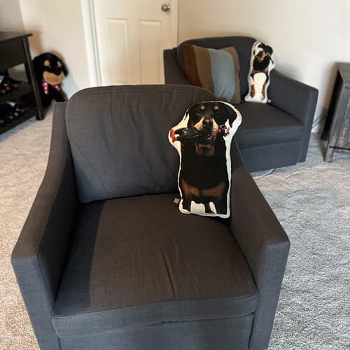 Customer photo review of Swivel Accent Chair Sets of 2, Mid Century Modern Armchair for Living Room and Bedroom, Gray Linen