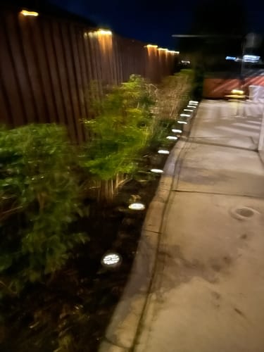 Customer photo review of GardenBrite™ Solar Ground Light Pack