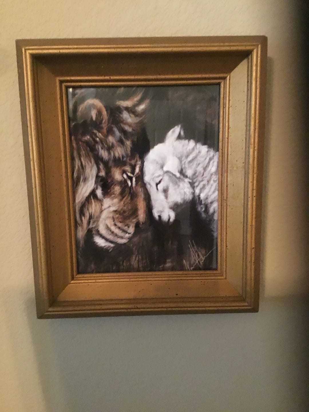 Customer photo review of Compassion of a King