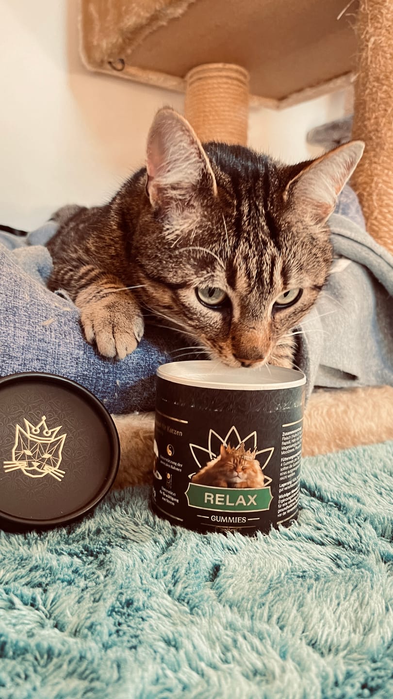 Customer photo review of Relax Gummies