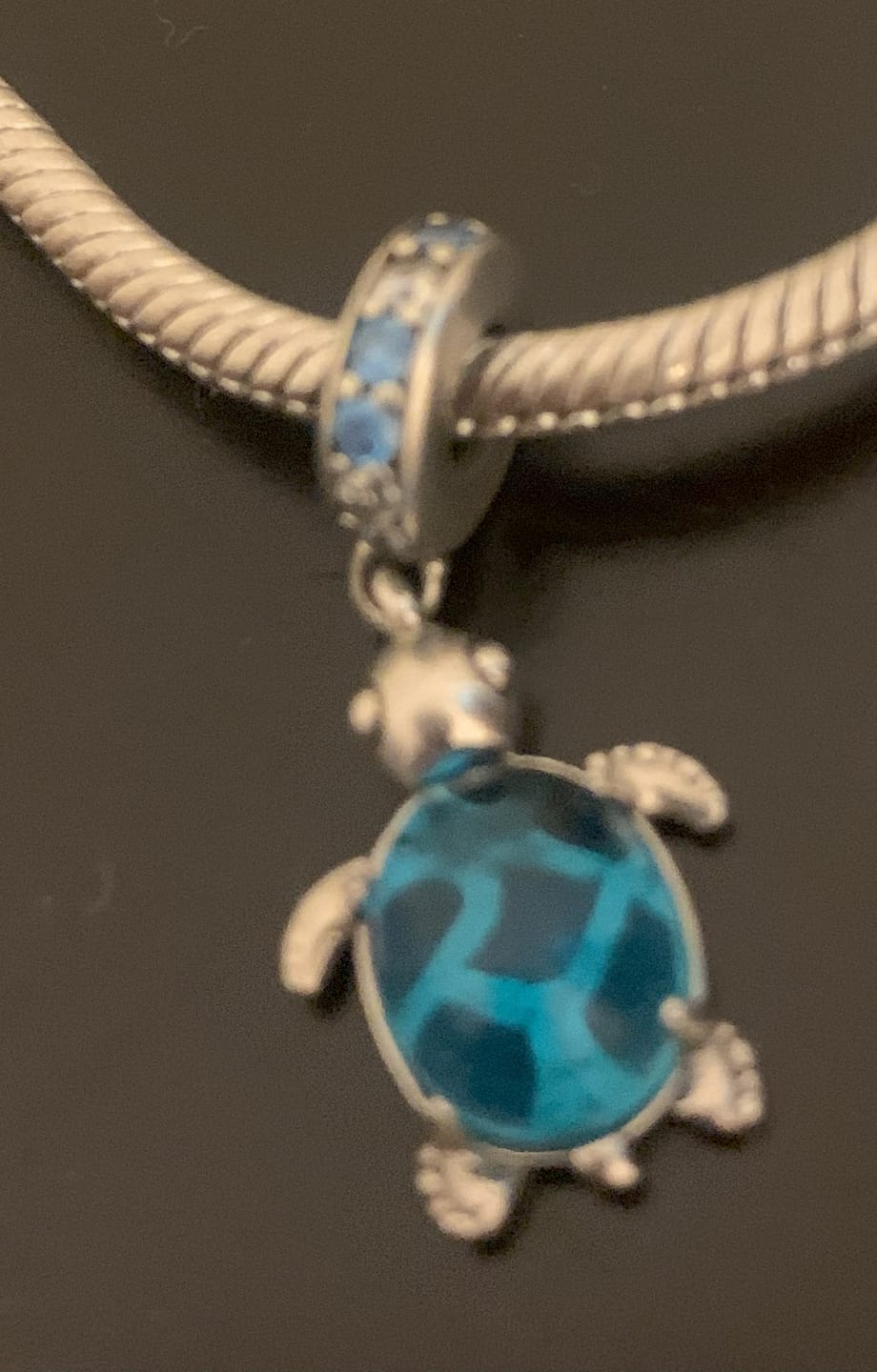 Customer photo review of Charm Tortuga Azul
