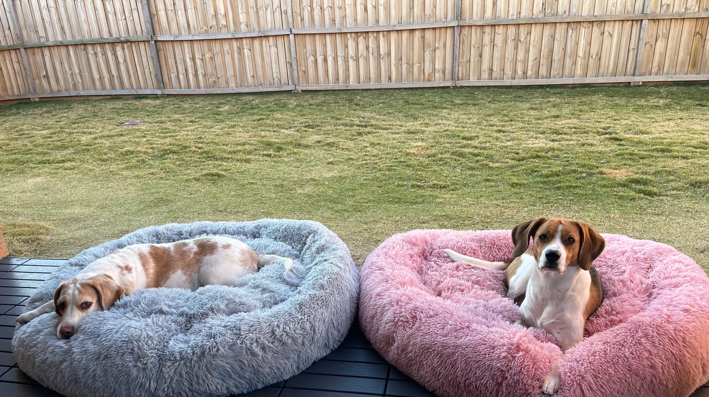 Customer photo review of Calming Dog Bed