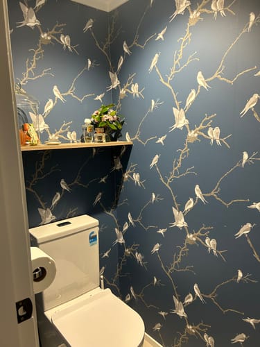 Customer photo review of Svalor Bird Wallpaper - Discontinuing