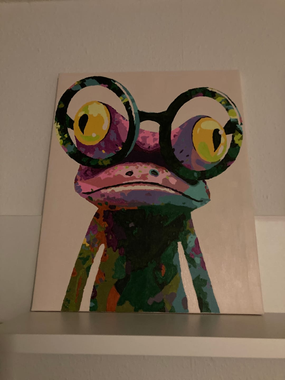 Customer photo review of Malen nach Zahlen - Fröhlicher Frosch