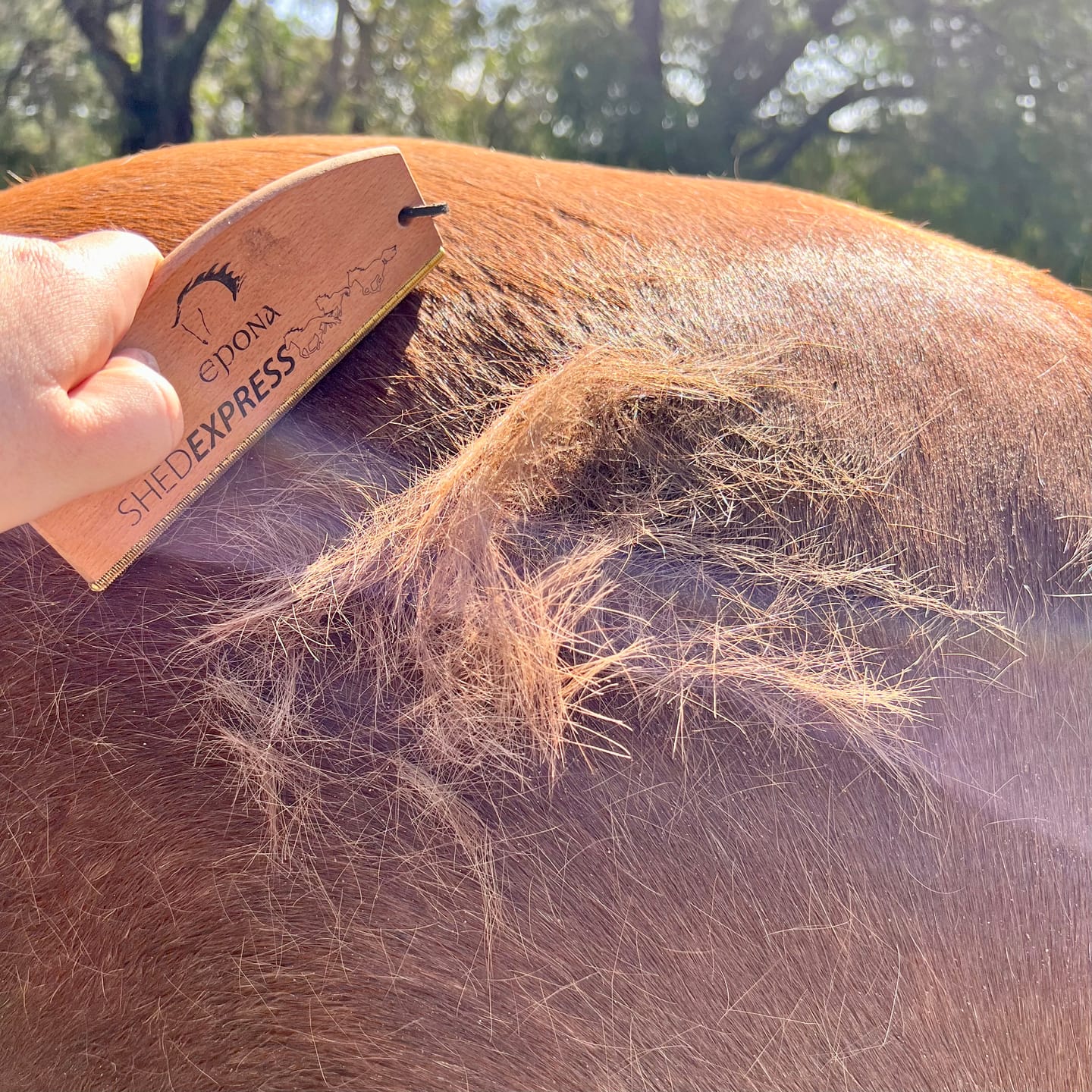Customer photo review of Shed Express