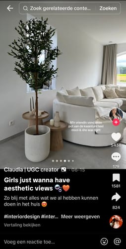 Customer photo review of Ficus Kunstplant 180cm