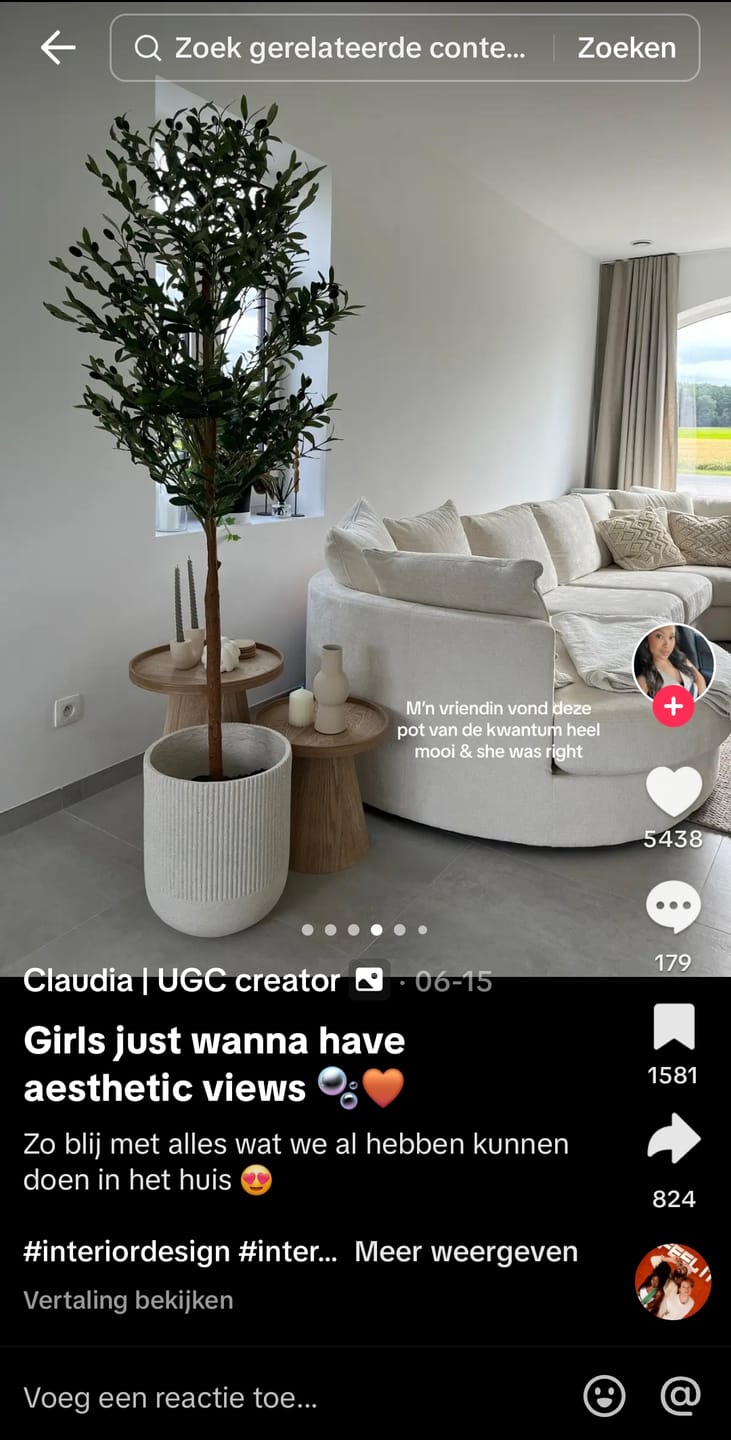 Customer photo review of Ficus Kunstplant 180cm