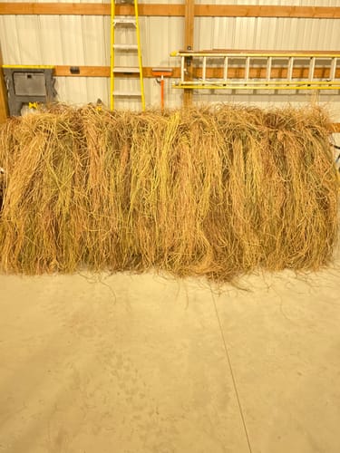 undefined review of Hunting Blind Raffia Grass (Pack) image 1 out of 1