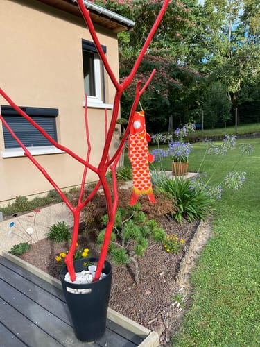 Customer photo review of Koinobori Traditionnel Orange (S)