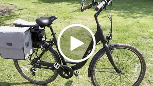 Customer video review of Daily D7