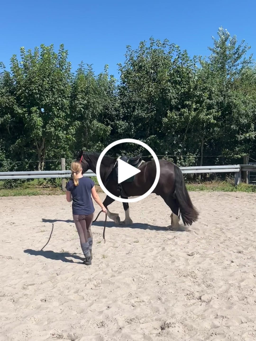 Customer video review of Engel - Korrektur Aufpolster Schabracke