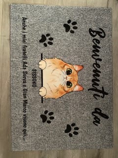 Customer photo review of Benvenuti da gatti curiosi - Zerbino personalizzato