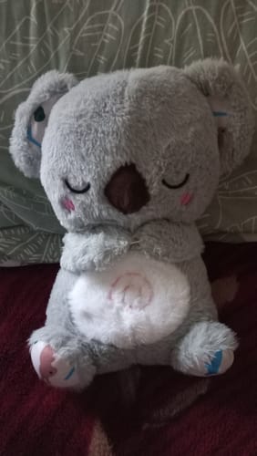 Customer photo review of The Breathing Koala
