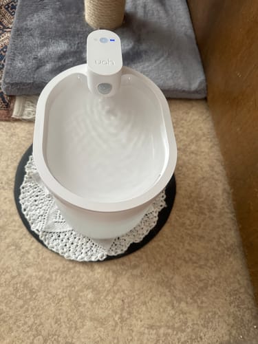 Customer photo review of Kabelloser Katzenbrunnen