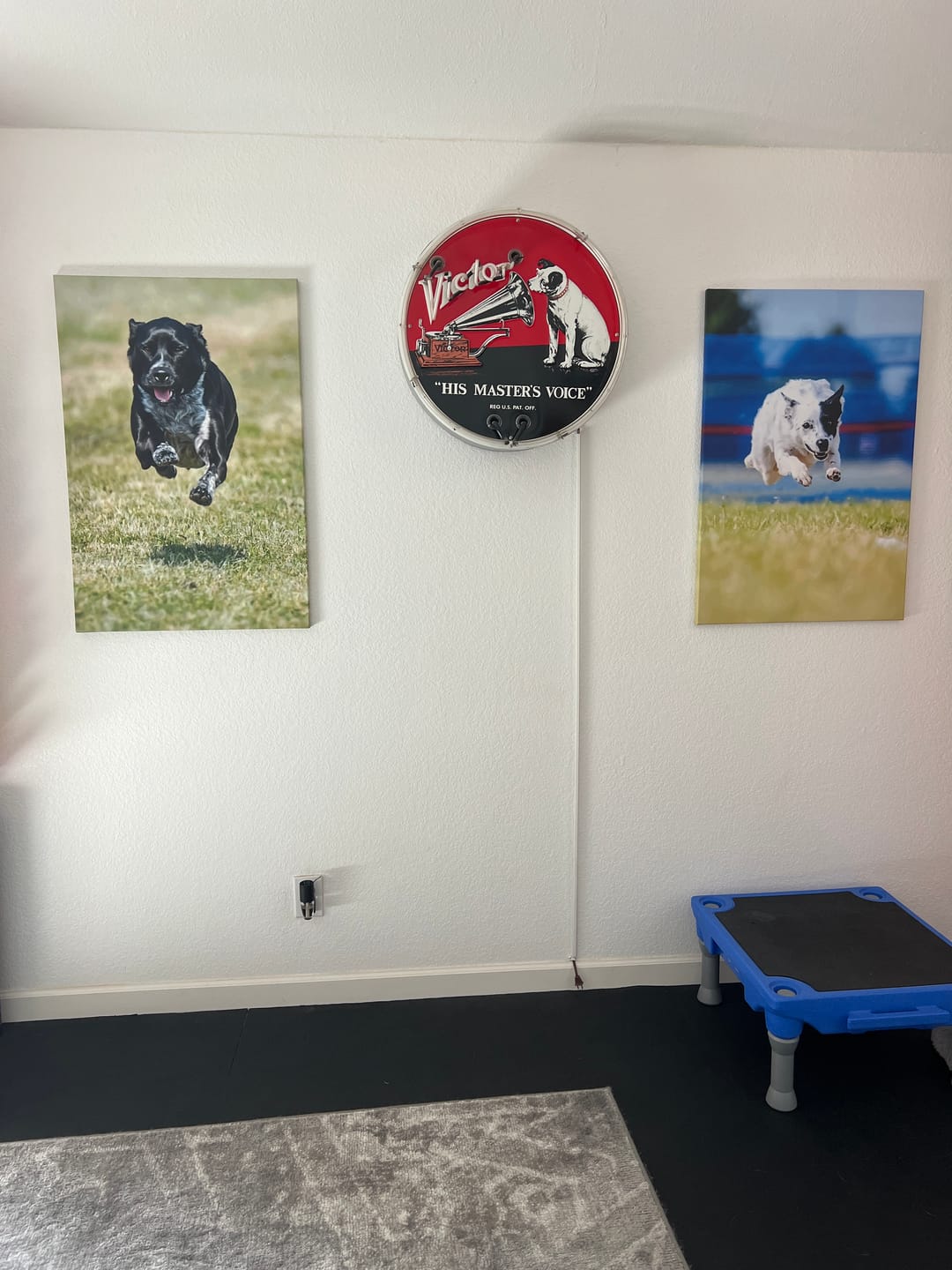 Customer photo review of Custom Canvas