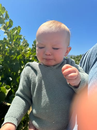 William J. review of Cabernet Sauvignon "2nd Amendment" Special Edition image 1 out of 2