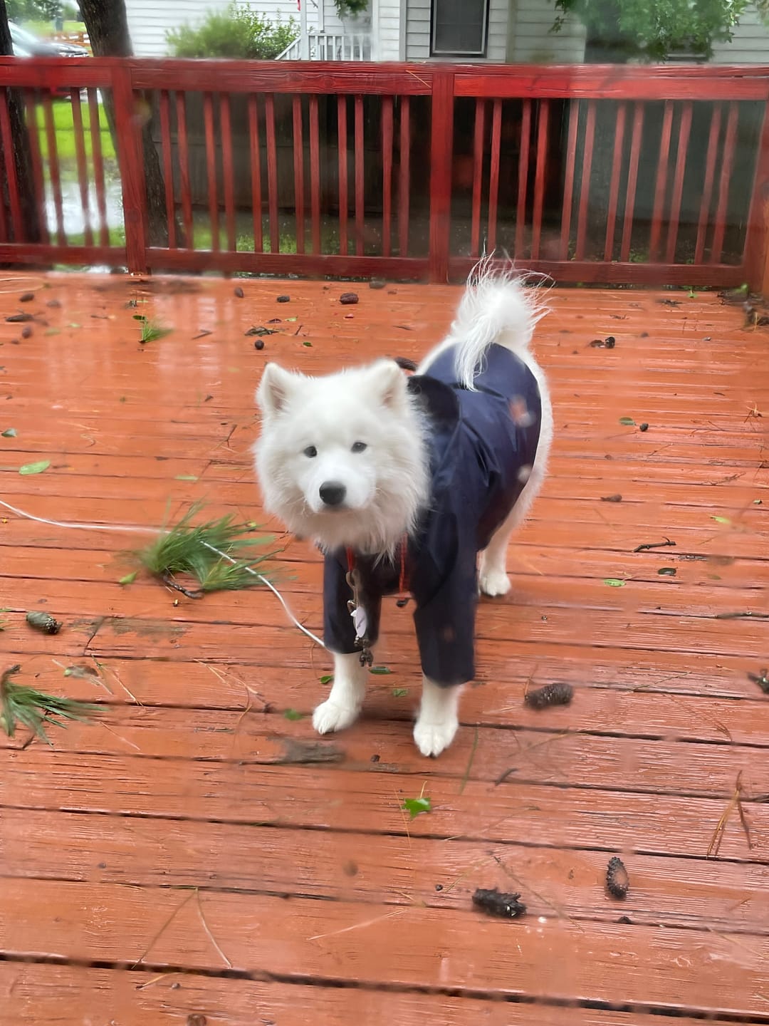 Customer photo review of Nylon Rainbreaker