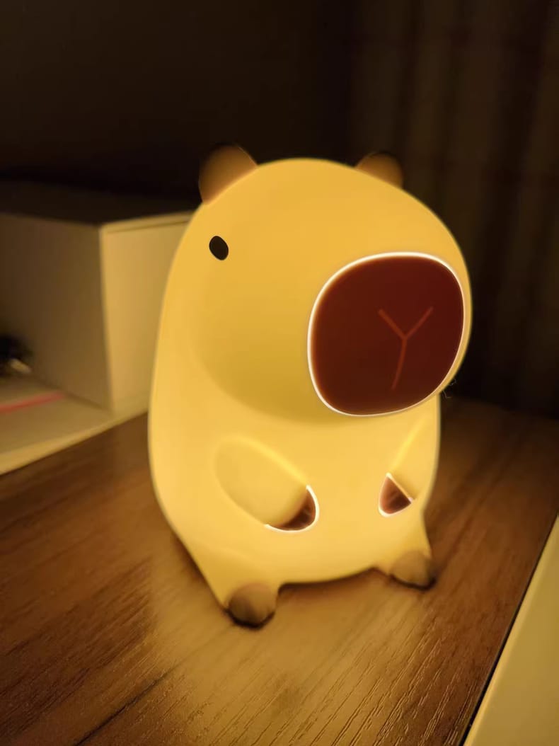Customer photo review of MeWaii® Capybara Squishy Night Light - Perfect Gift 🎁