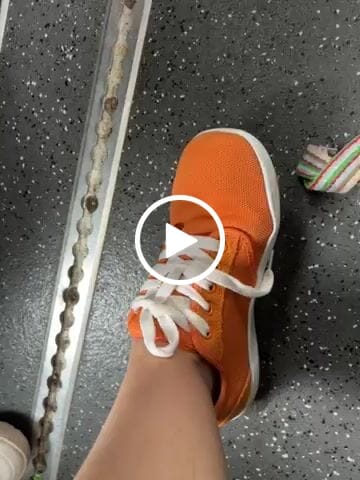 Customer video review of Sage - Barefoot Shoes