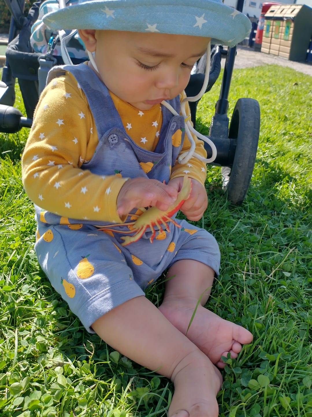 Customer photo review of Sunshine Pear Storytime Dungaree Shorts