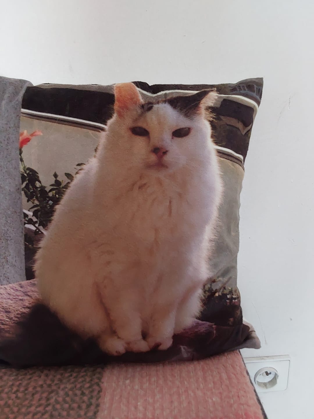 Customer photo review of Avec photo - Coussin personnalisé