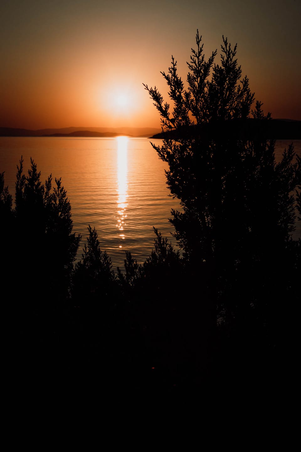 Customer photo review of GOLDEN HOUR LIGHTROOM PRESETS