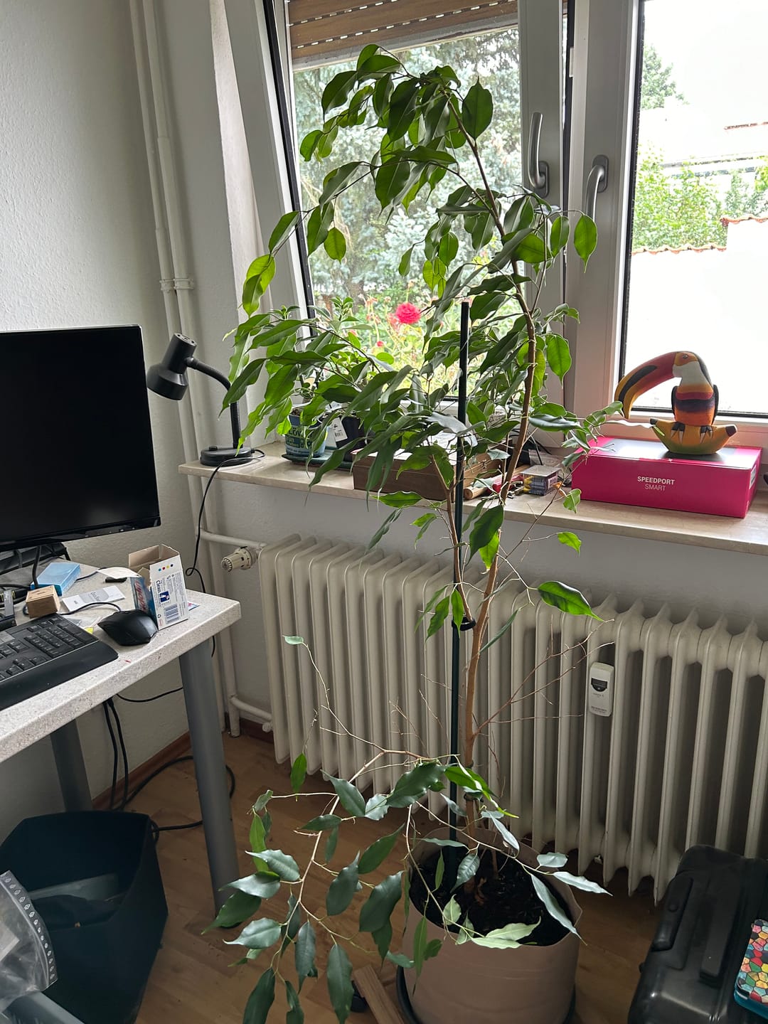 Customer photo review of Root Heaven Stoff Topf