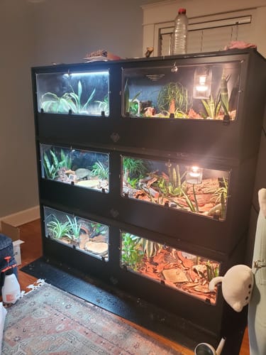 Customer photo review of XT6 BIO24 (72Lx24Dx24H) - STACKABLE