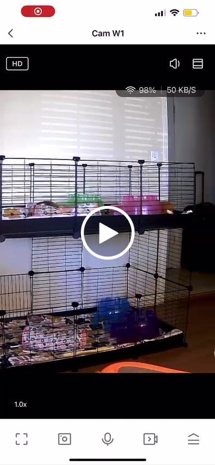 Customer video review of Two Tier 4x2 Stacked Double C&C Cage