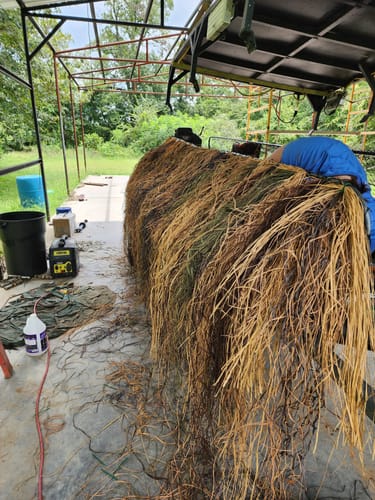 Customer photo review of Hunting Blind Raffia Grass (Pack)