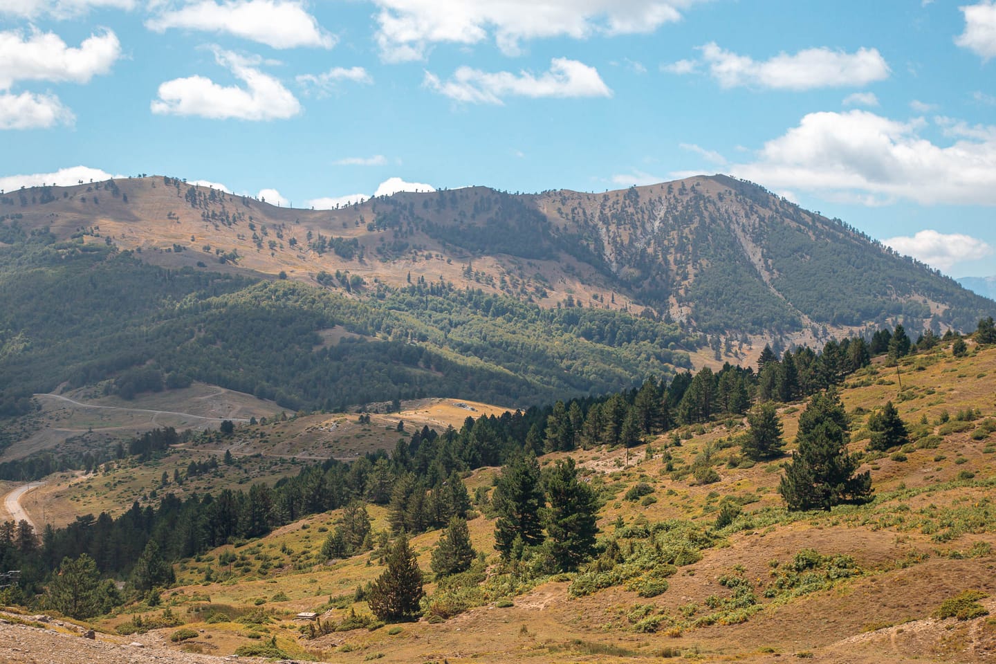 Customer photo review of NATURE LIGHTROOM PRESETS
