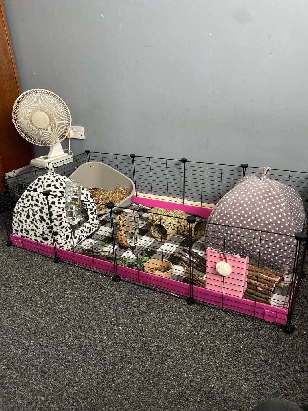 Customer photo review of 4x2 C&C Cage - Ideal for two guinea pigs