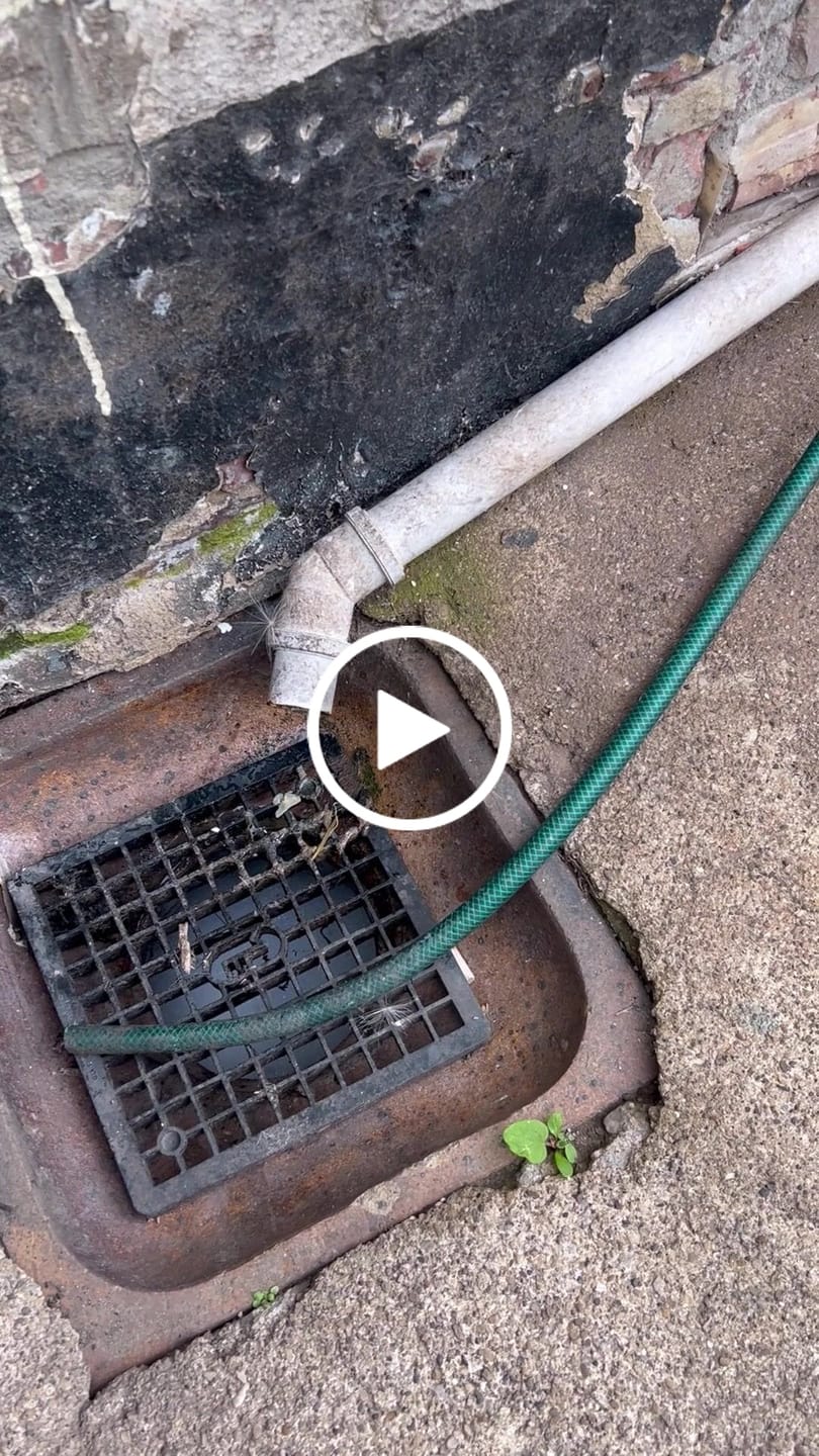 Customer video review of Drain cleaner