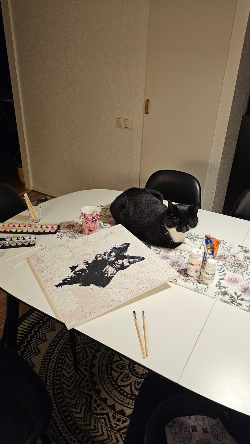 Customer photo review of Sunny Feline