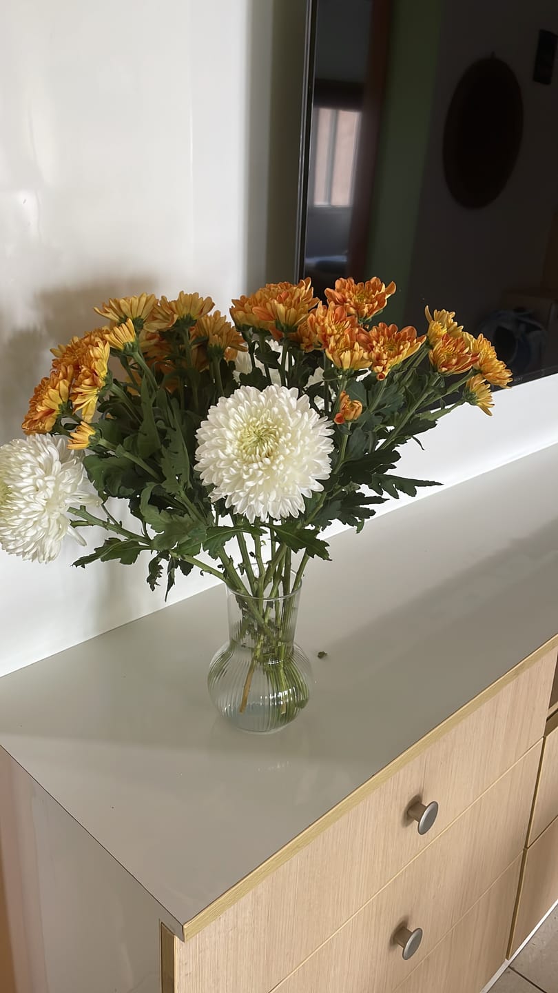 Customer photo review of Subscribe to Cut Flowers - PREMIUM