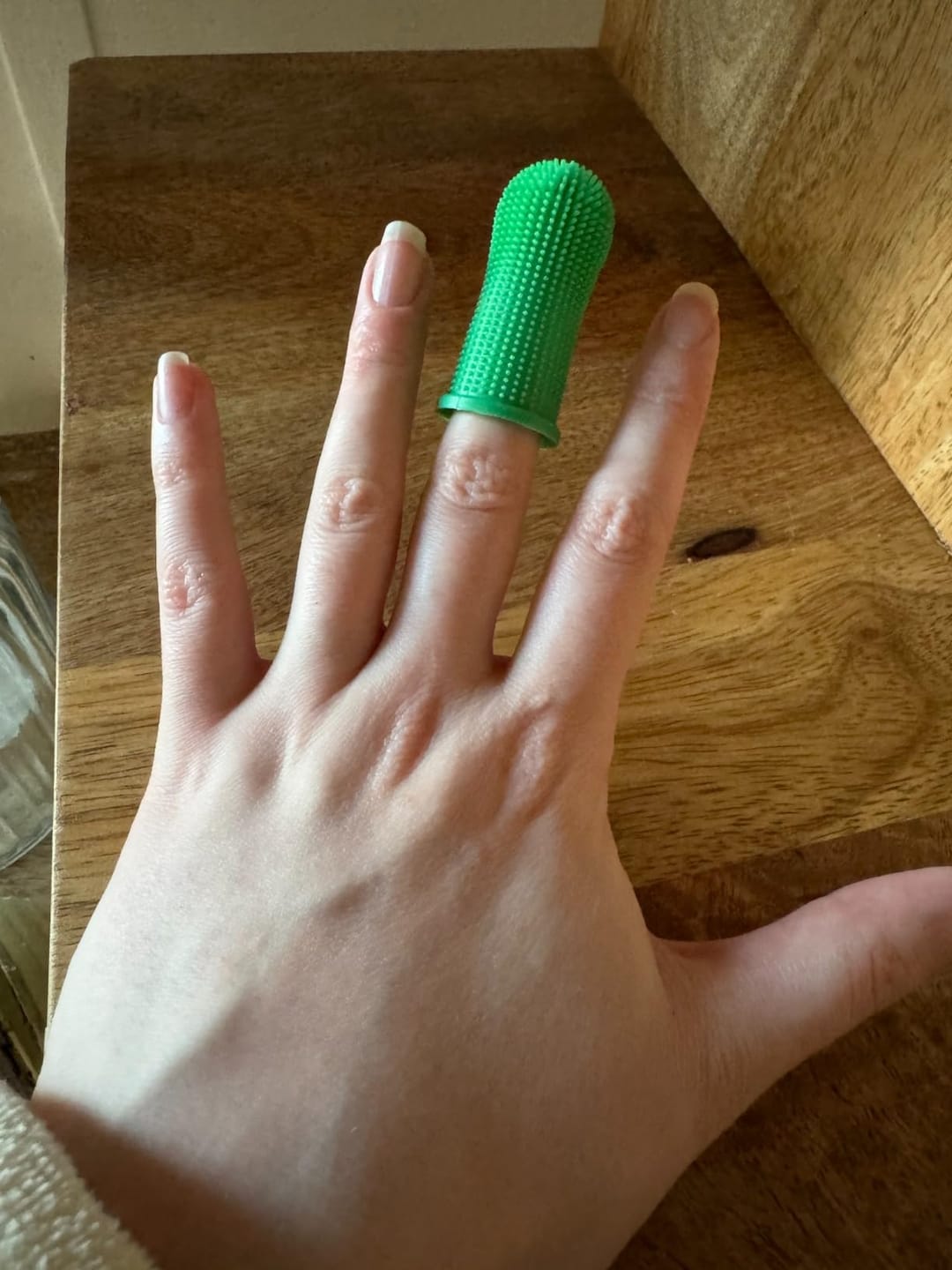 Customer photo review of Pack of 3 Silicone Finger Dental Care Brushes for Dogs & Cats