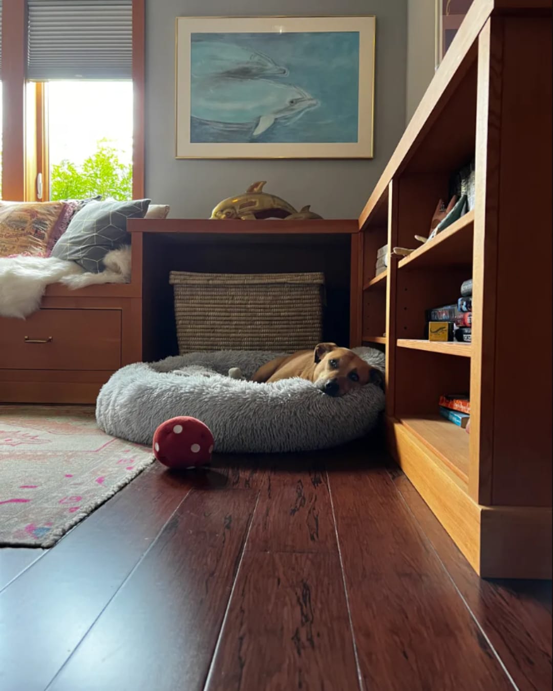 Customer photo review of Calming Dog Bed