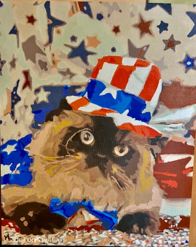 Customer photo review of Custom Paint By Numbers Kit