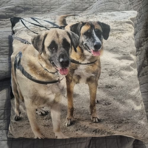 Customer photo review of Fotokissen - ein einzigartiges Kissen von deinem Liebling