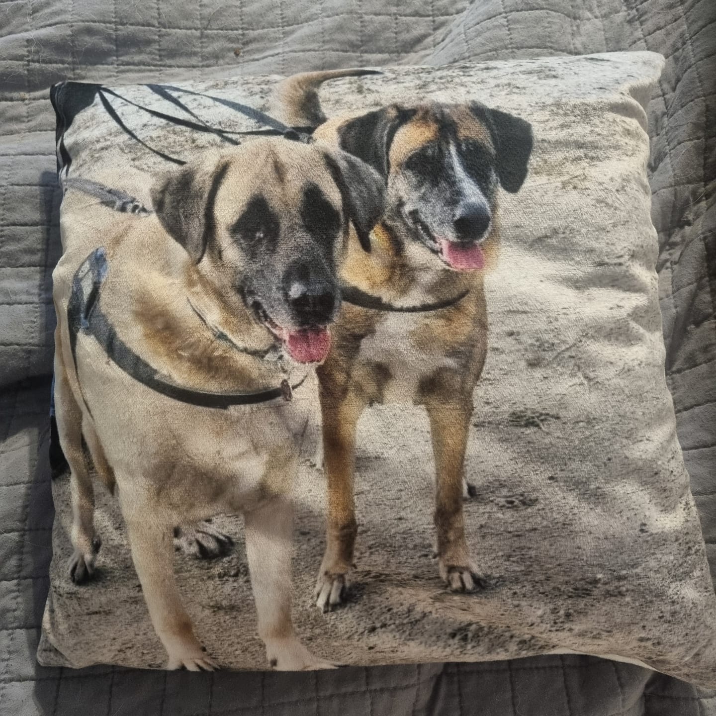 Customer photo review of Fotokissen - ein einzigartiges Kissen von deinem Liebling