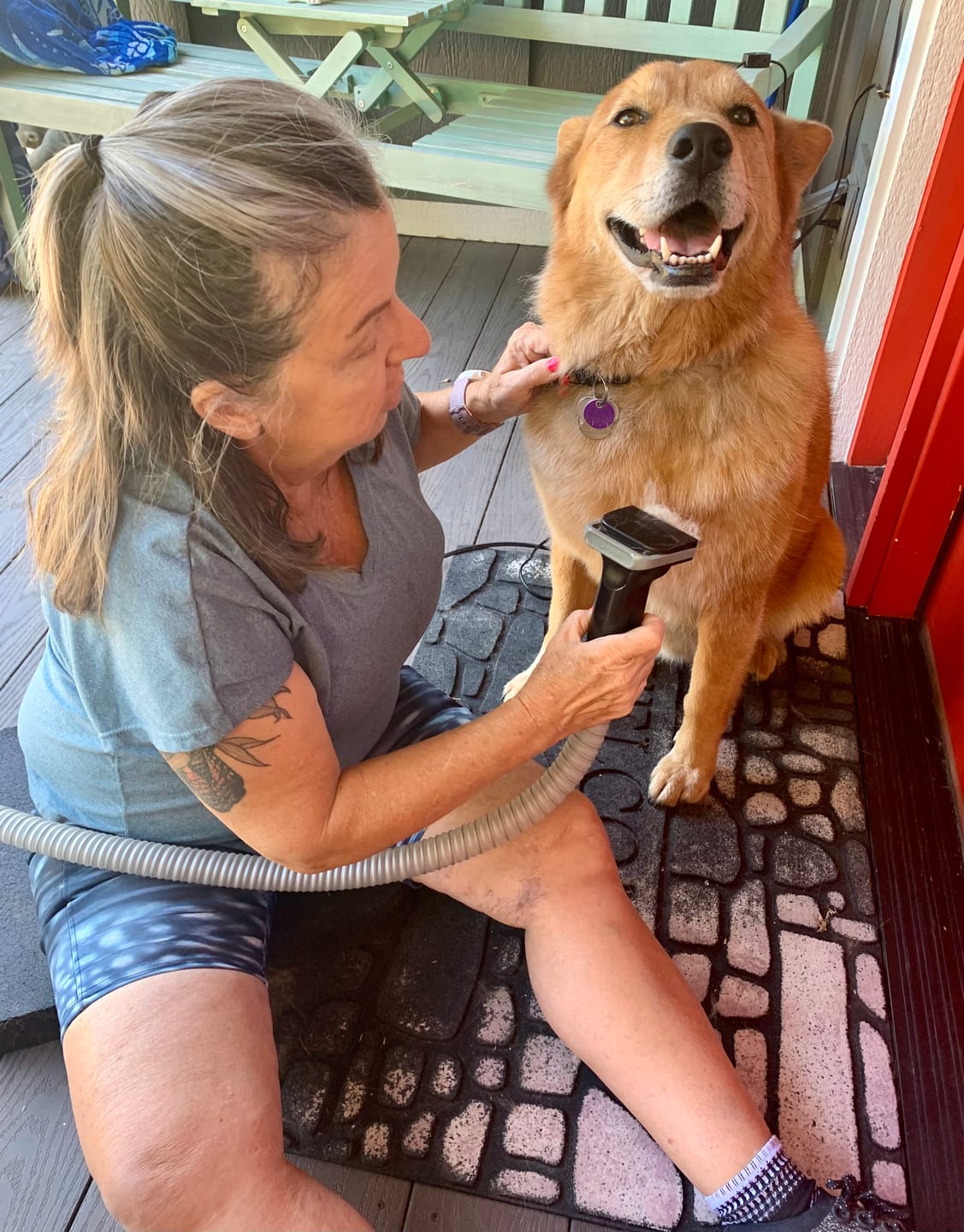 Customer photo review of furMe™️ Professional PLUS Pet Grooming Vacuum Kit