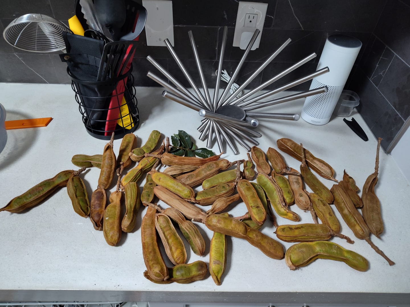 Customer photo review of Ice Cream Bean *Pre-Order*