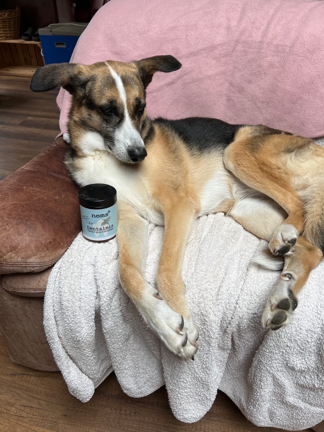 Customer photo review of Dentalmix für Hunde zur Zahnpflege und für frischen Atem