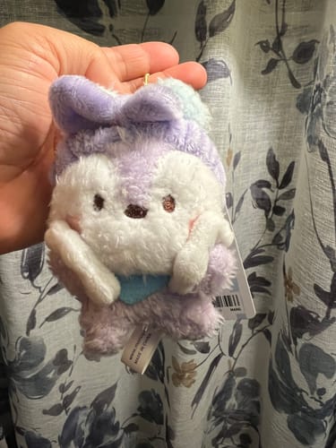 Customer photo review of BT21 MININI BATH TIME PLUSH KEY RING