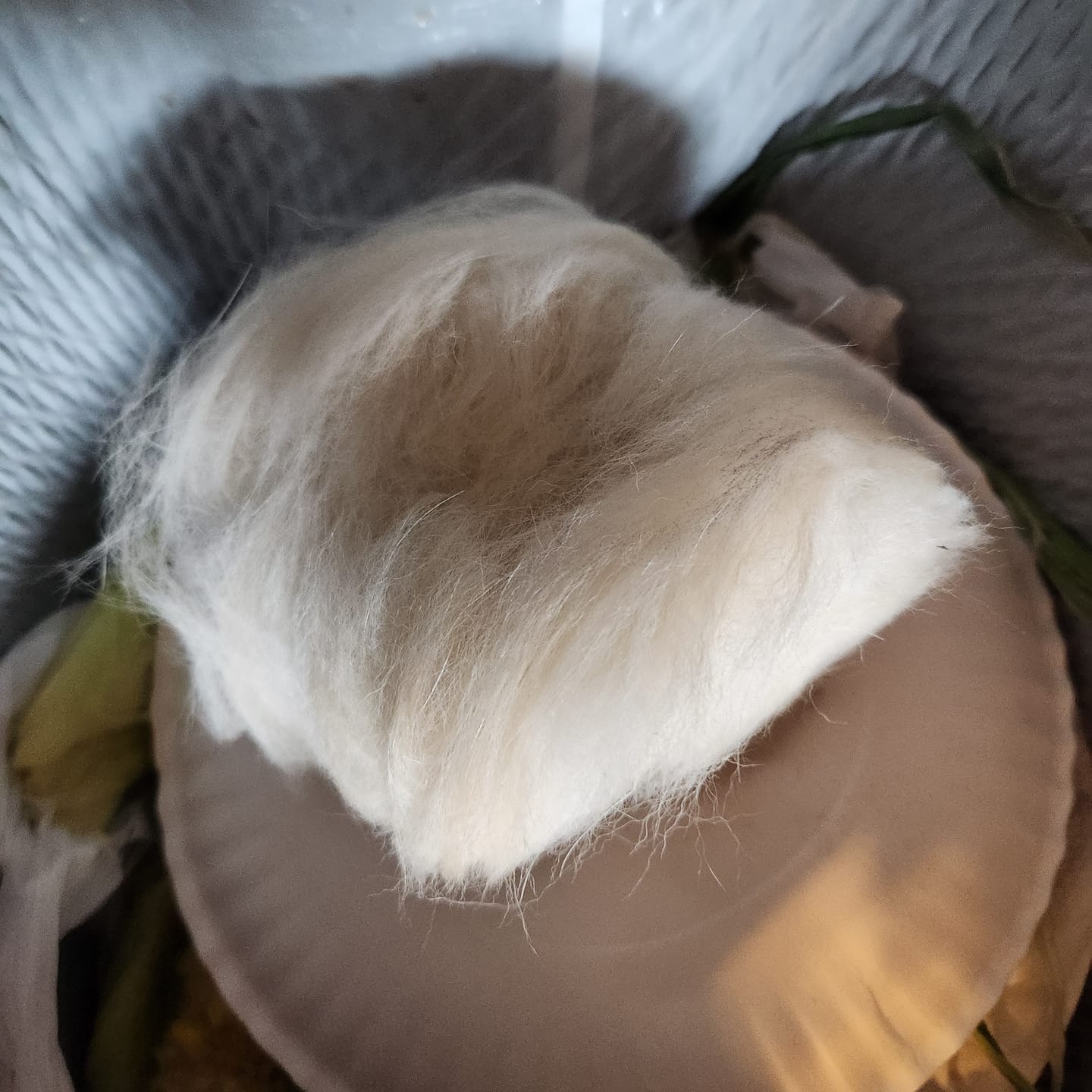 Customer photo review of Original Pet Grooming Vacuum Kit