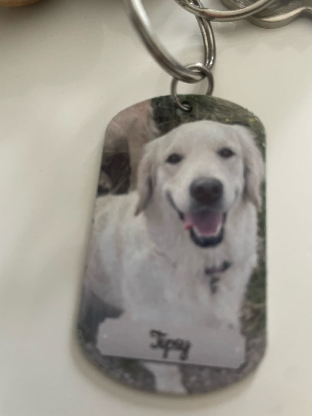 Customer photo review of Photo double face - Porte-clés Dog Tag personnalisé