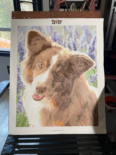 Customer photo review of Custom Paint by Numbers Kit