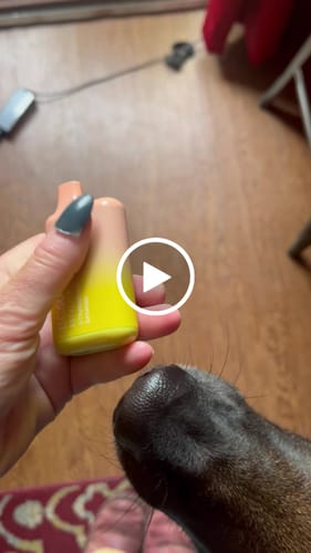 Stephanie R. review of BC5000 EBCreate Flavor image 1 out of 1