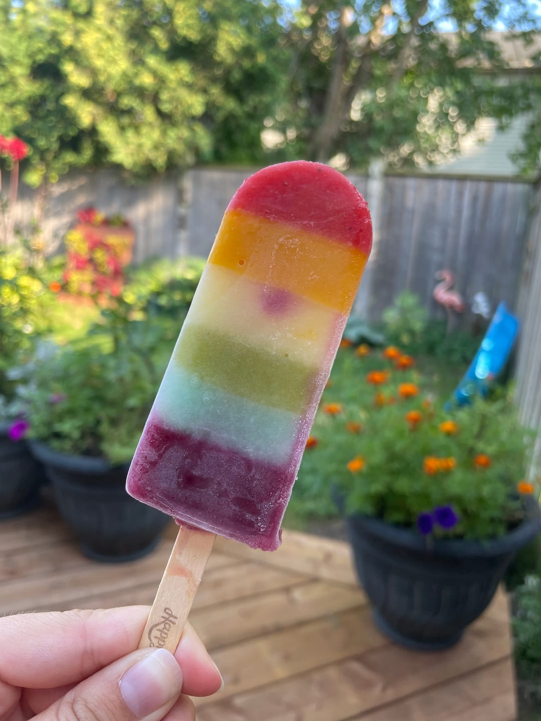 Customer photo review of Rainbow